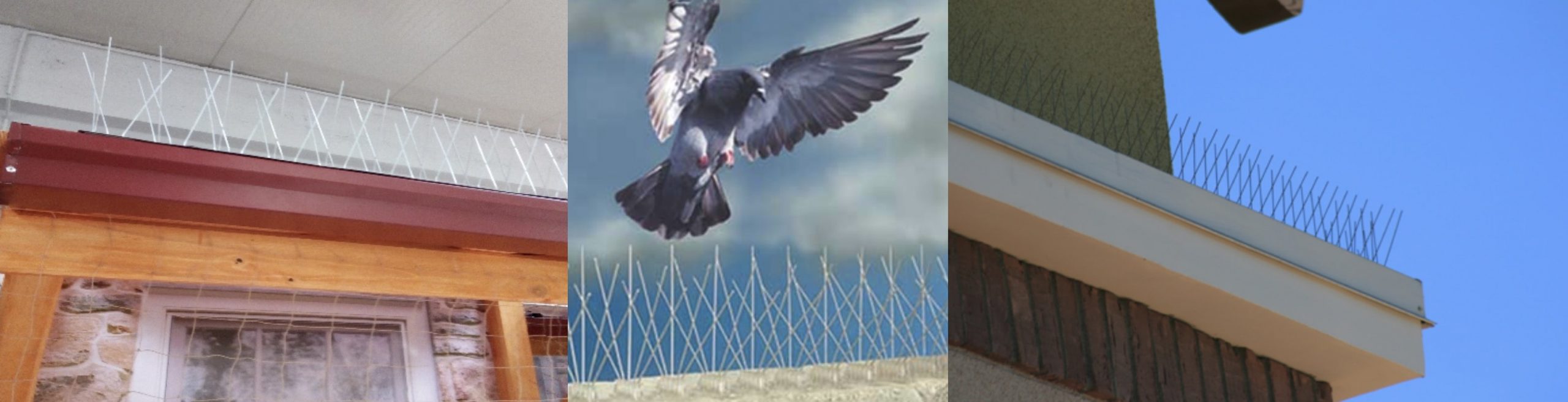 Zastita od ptica nacini primjene