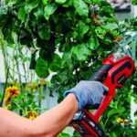 Einhell PXC aku škare za obrezivanje GE-GS 18 Li – solo-3