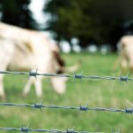 Bodljikava plastificirana žica 2,6 mm, 100 m, 8 kg - zelena - Slika 2