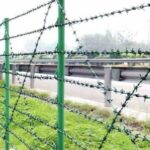 Bodljikava plastificirana žica 2,6 mm, 100 m, 8 kg - zelena - Slika 5