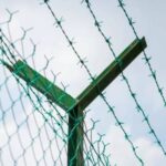 Bodljikava plastificirana žica 2,6 mm, 100 m, 8 kg – zelena