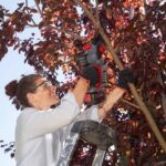 AL-KO 18V akumulatorska lančana ručna pila CSM 1815 – set