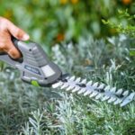 LUX aku škare za travu i grmlje 20V, Solo