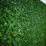 Dekorativna žica TRAVA - visina 100 cm x dužina 10 m